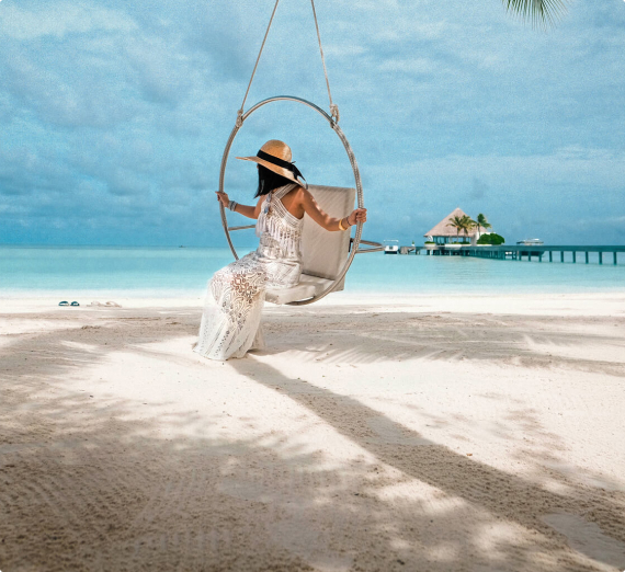 Cardano Market Cap Data Data