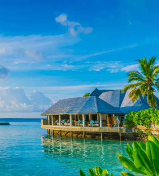 Cardano Price Prediction 2026